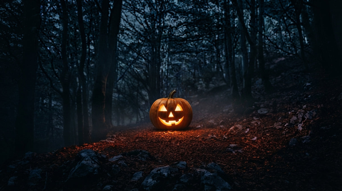 HALLOWEEN TREK 🎃